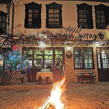 Gurko Ξενοδοχείο 3*