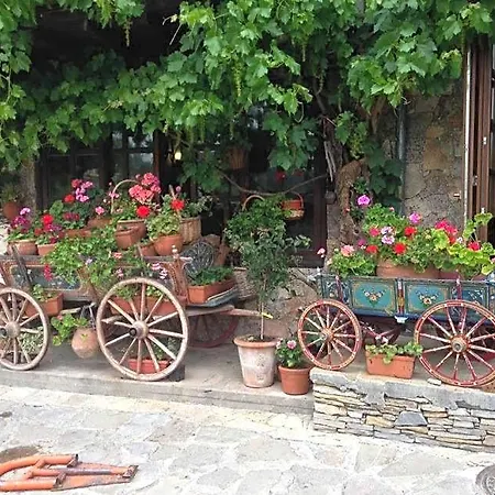 Gurko Ξενοδοχείο 3*