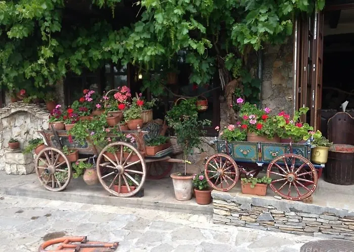 Ξενοδοχείο Gurko 3*